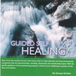 Guided Self Healing
